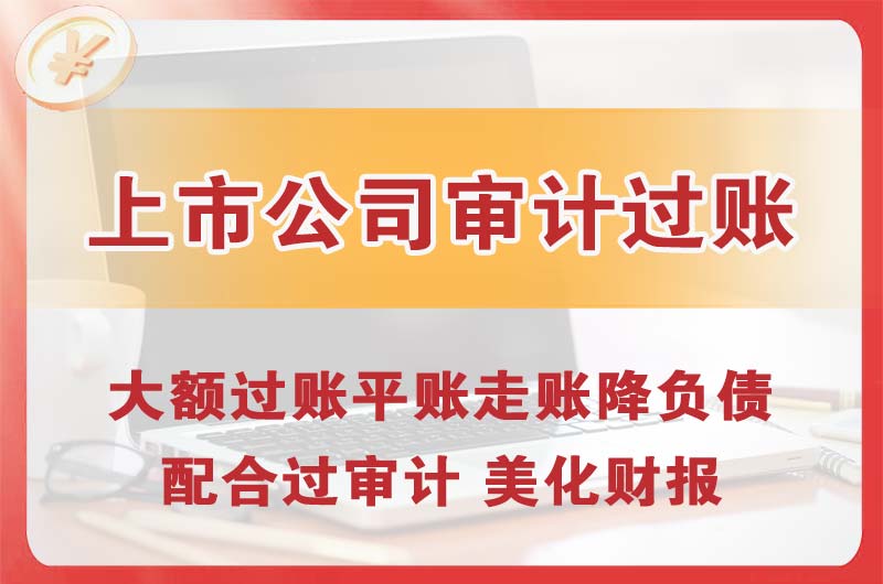 海安上市公司审计过账